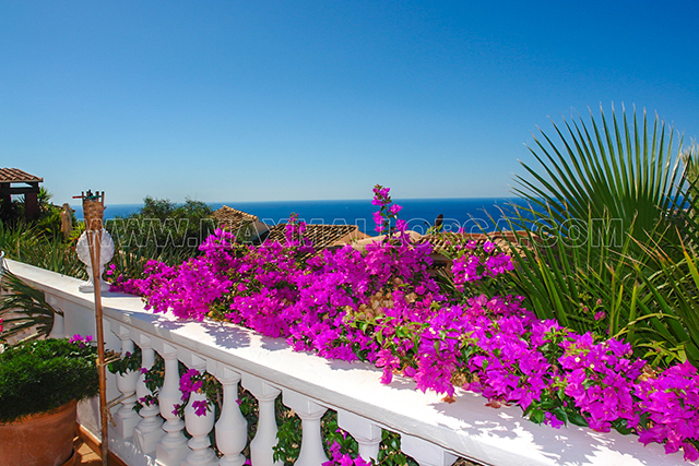 villa_mallorca_top_first_class_residence_5_schlafzimmer_top_hill_sauna_pool_puerto andratx_private_resort_villa_bergkuppe_cala_marmacen_total_meer_blick_panorama_35.jpg